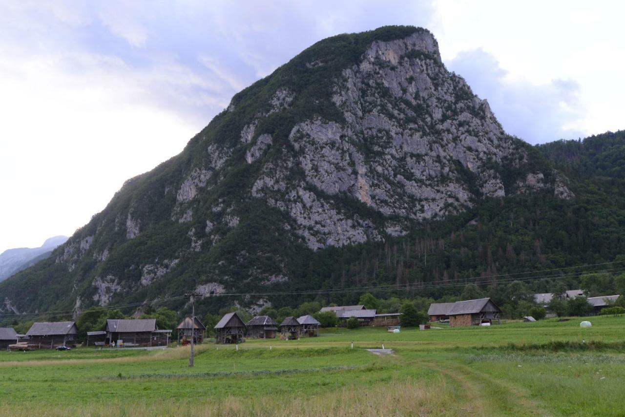 Apartmaji Pekovec Bohinj Dış mekan fotoğraf